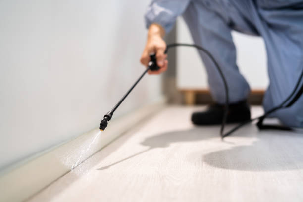 Licensed Mosquito Control service in Romeo, MI - Show Me Pest Control