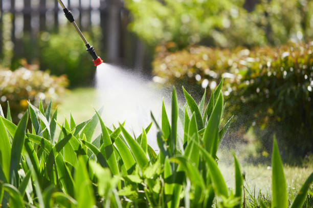24/7 Emergency Mosquito Control experts in Romeo, MI