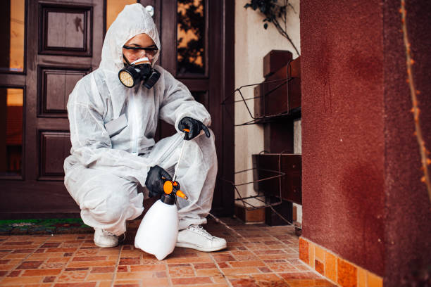 Reliable Mosquito Control contractor in Romeo, MI by Show Me Pest Control