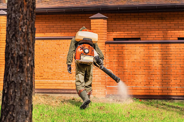 Top rated local Mosquito Control specialists in Romeo, MI